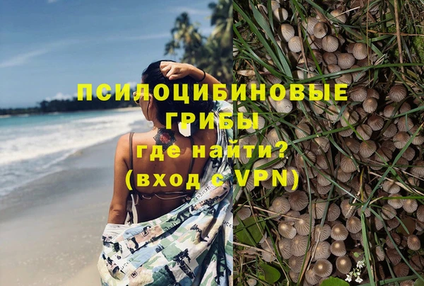 МДМА Алексеевка