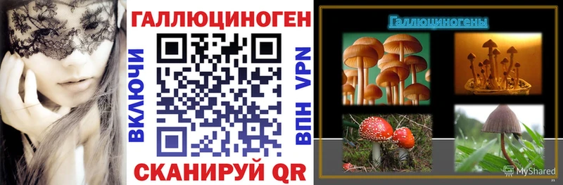 Псилоцибиновые грибы Psilocybine cubensis  Керчь 